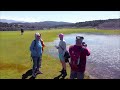 Rab - Lopar Kroatien, Croatia,  Hochebene zwischen Rab und Lopar