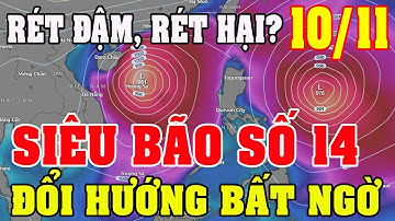 Siêu Bão Fung wong Cuồng Nộ Trên Biển Đông!_Việt Nam Cần Sẵn Sàng Ứng Phó_Diy Skills