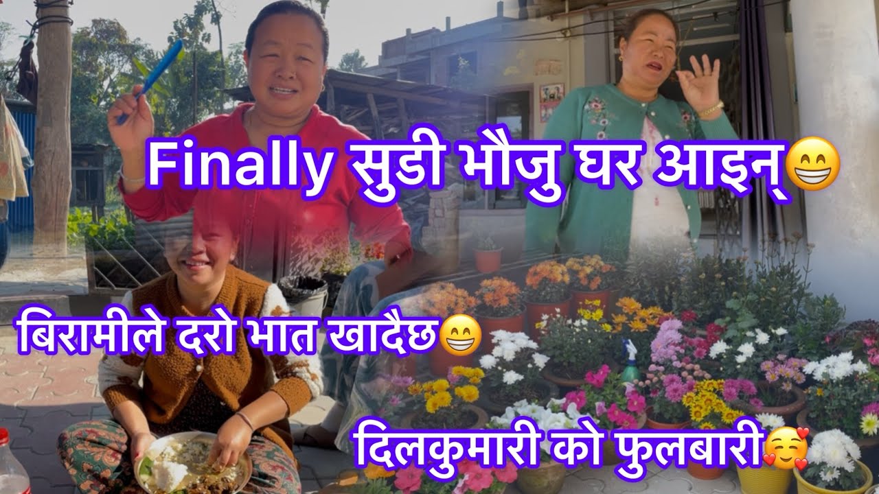 चितवनको