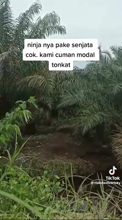 Video Suara Asli Nenek Kau Solo Lord Pakek Estes 🗿#shorts #memes