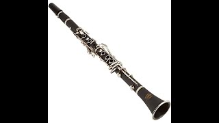 MINOR ALTERATIONS for Clarinet Ensemble