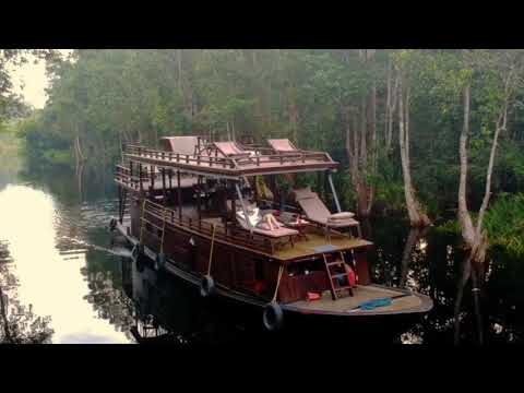 Tanjung Puting, Borneo: Rainforest & River Safari Wildlife Cruise