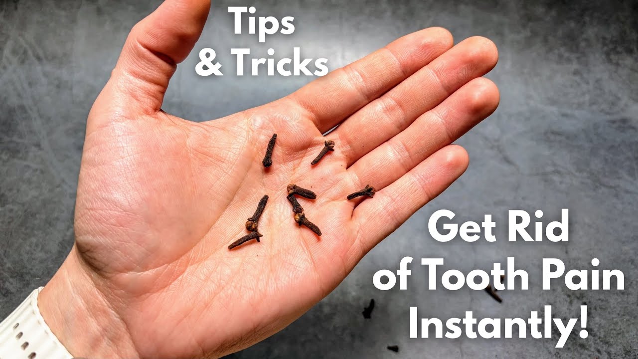 Как приготовить и применить гвоздику от зубной боли — домашнее средство из гвоздики для избавлени...