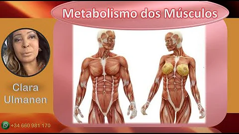 Quanto tempo demora para transformar massa gorda em massa magra?