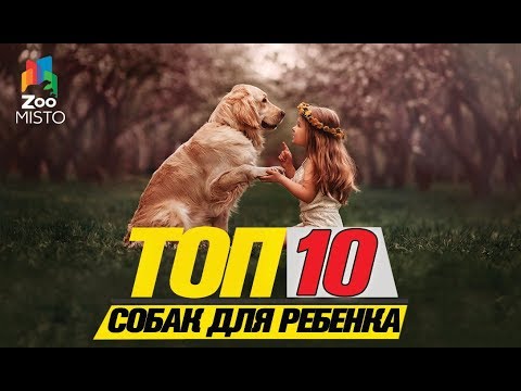 Топ 10 пород собак для ребенка\Top 10 dog breeds for a child