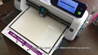 Julie Fei Fan Balzer and a Foiled T-Rex on a t-shirt