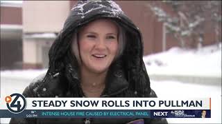 Steady snow rolls into Pullman
