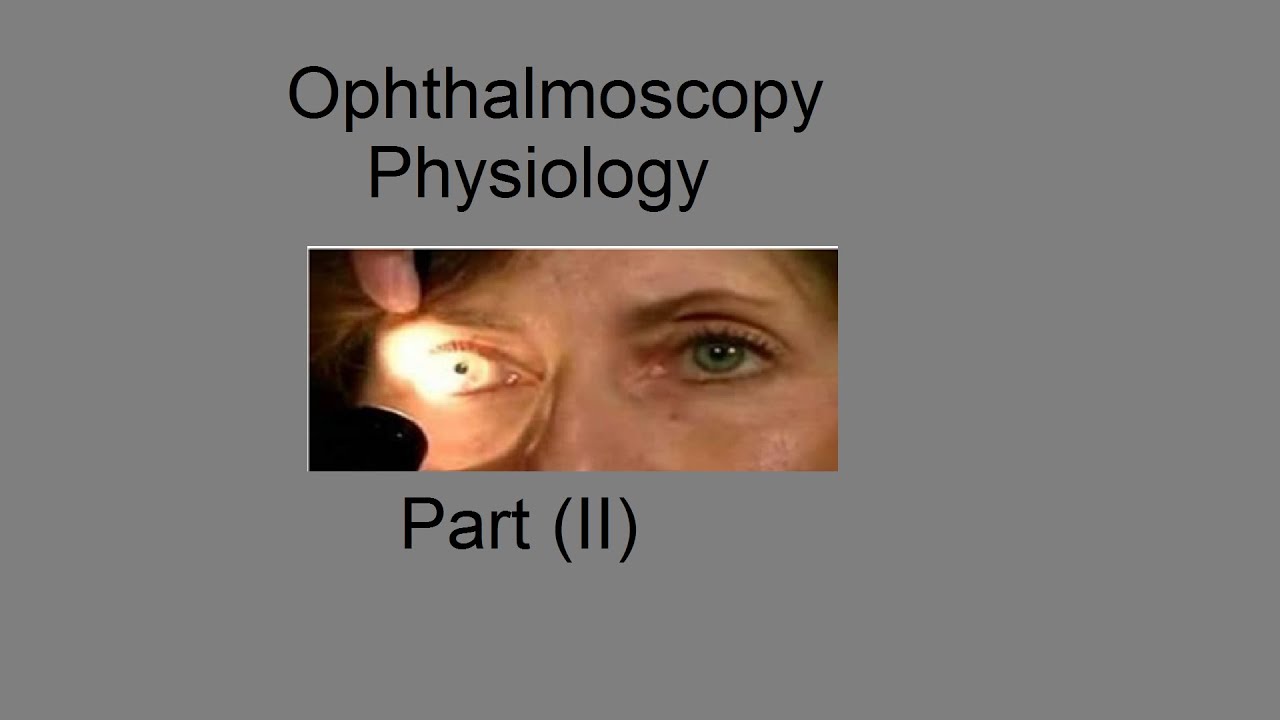 Ophthalmoscopy Physiology 2nd Year MBBS YouTube