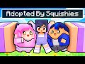 Adopted by SQUISHY FAMILY in Minecraft!