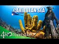 Whats in the caribbean beautiful sea of legendary pirates    free documentary 4k