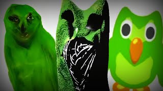 Duolingo Virus Horror The Story Explained