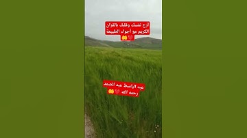 أرح نفسك وقلبك مع القرآن الكريم وأجواء الطبيعة الخلابة #قران_كريم #yasseraldossary #عبدالباسط#قران_