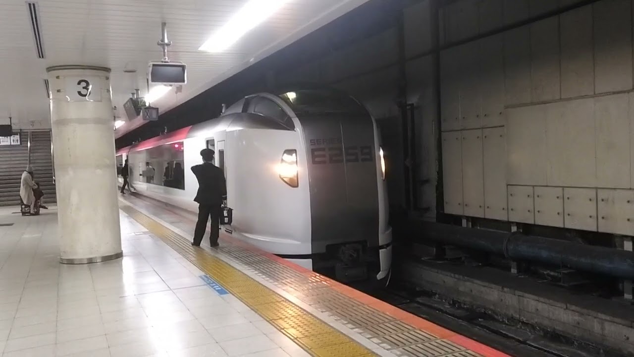 【不定期と化した撮り鉄】総武快速線東京駅を発車するE259系総武快速線特急成田エクスプレス45号成田空港行き