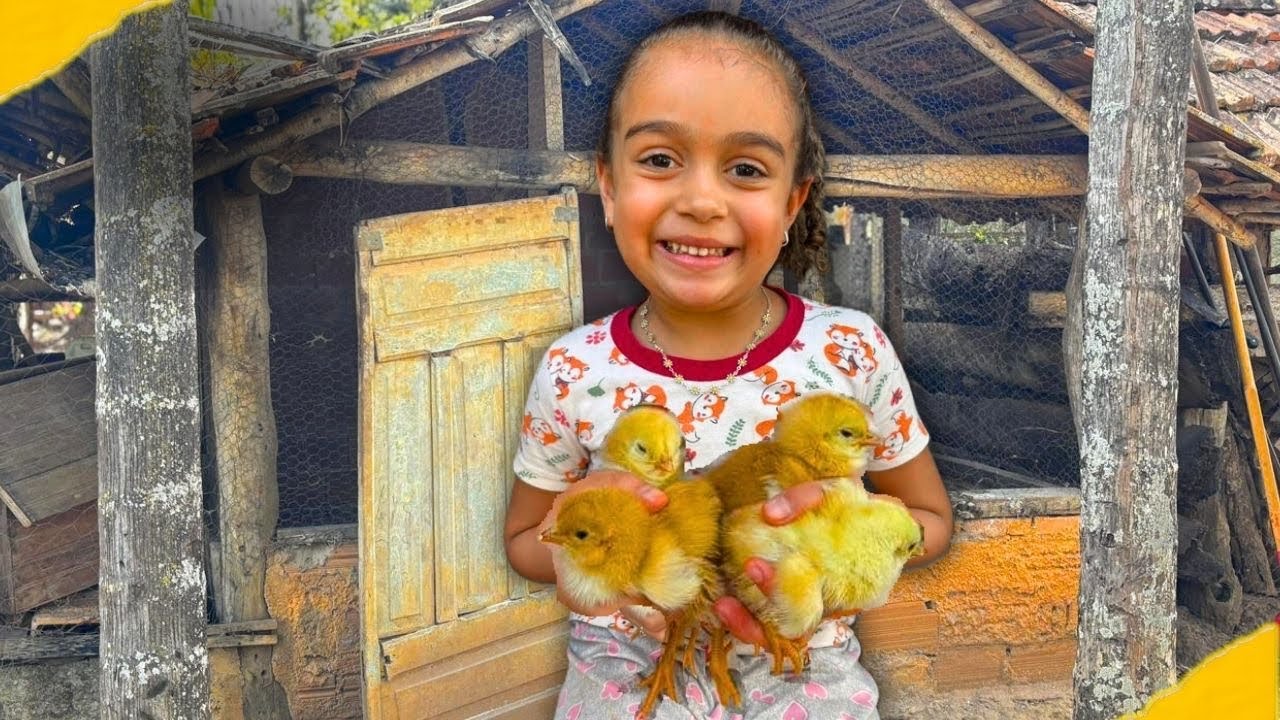 Mostrando os novos Pintinhos fofinhos que nasceram na Roça 🐣 