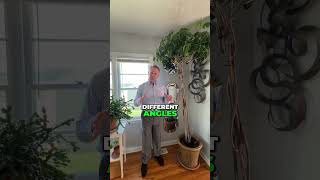 Mirrors  Strategy to Create Space, Not Decoration!