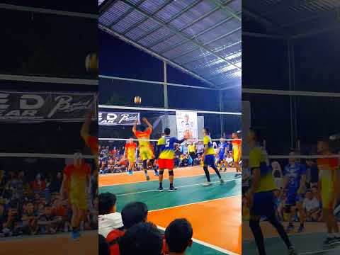 Voli rivan nurmulki #volleyball #shorts #volitarkam