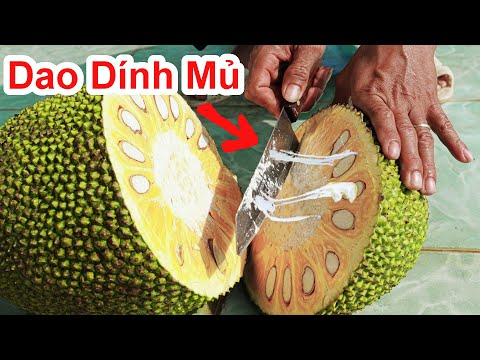 Video Cách BỔ Mít Dao Không Bị Dính Mủ Cực Hay . Meo Cắt Mít... - youtube