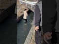 ふぉーえげざんぽーwwwwww
