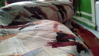 Tendangan dede utun di dalem perut ❤️