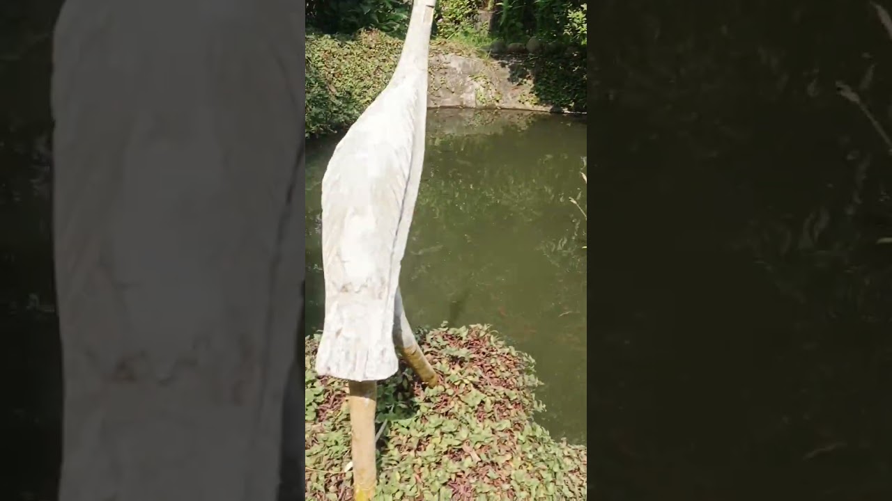 আমার জীবনের একটি অভিজ্ঞতার গল্প।