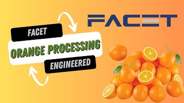 Orange Cleaner & Grader System | Facet Engineering – Citrus Processing Solution