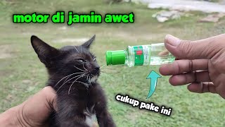Belum ada yang tahu TRIK ini, punya MOTOR dan KUCING wajib lakukan ini !!!