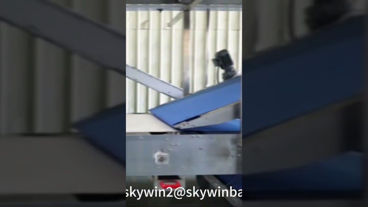 Hard and Soft Biscuit Production Line 