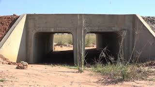 Climate Resilient Road Short Clip