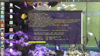 Installation of gnuplot  in ubuntu