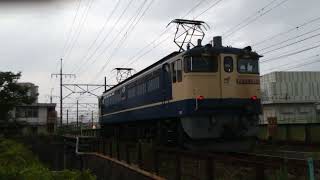 8863レ EF65ｰ2085 ② 沼津