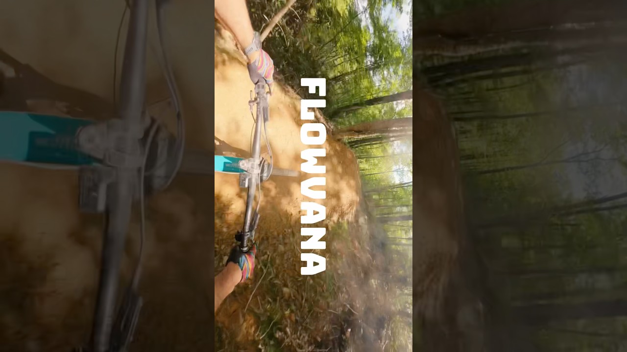 Fav Blue Runs at Wildside #shorts #mtb