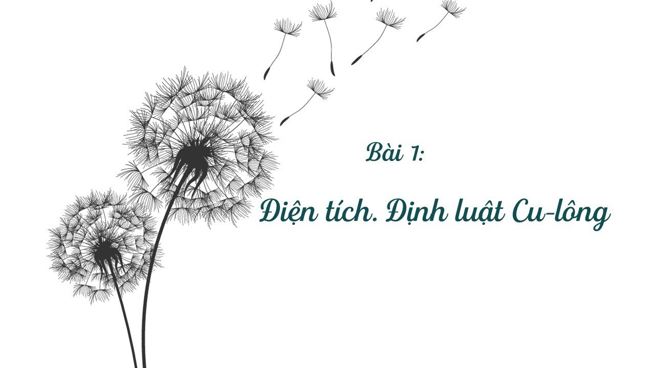 Bài 1 - Điện tích. Định luật Cu-lông - Vật lý lớp 11 [BINGCLASS.COM]