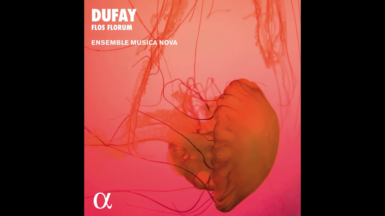 DUFAY // Inclita stella, by Ensemble Musica Nova