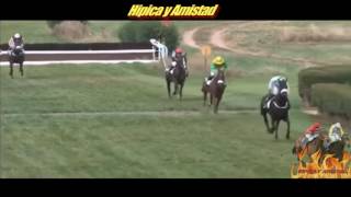 Momentos Graciosos del Turf