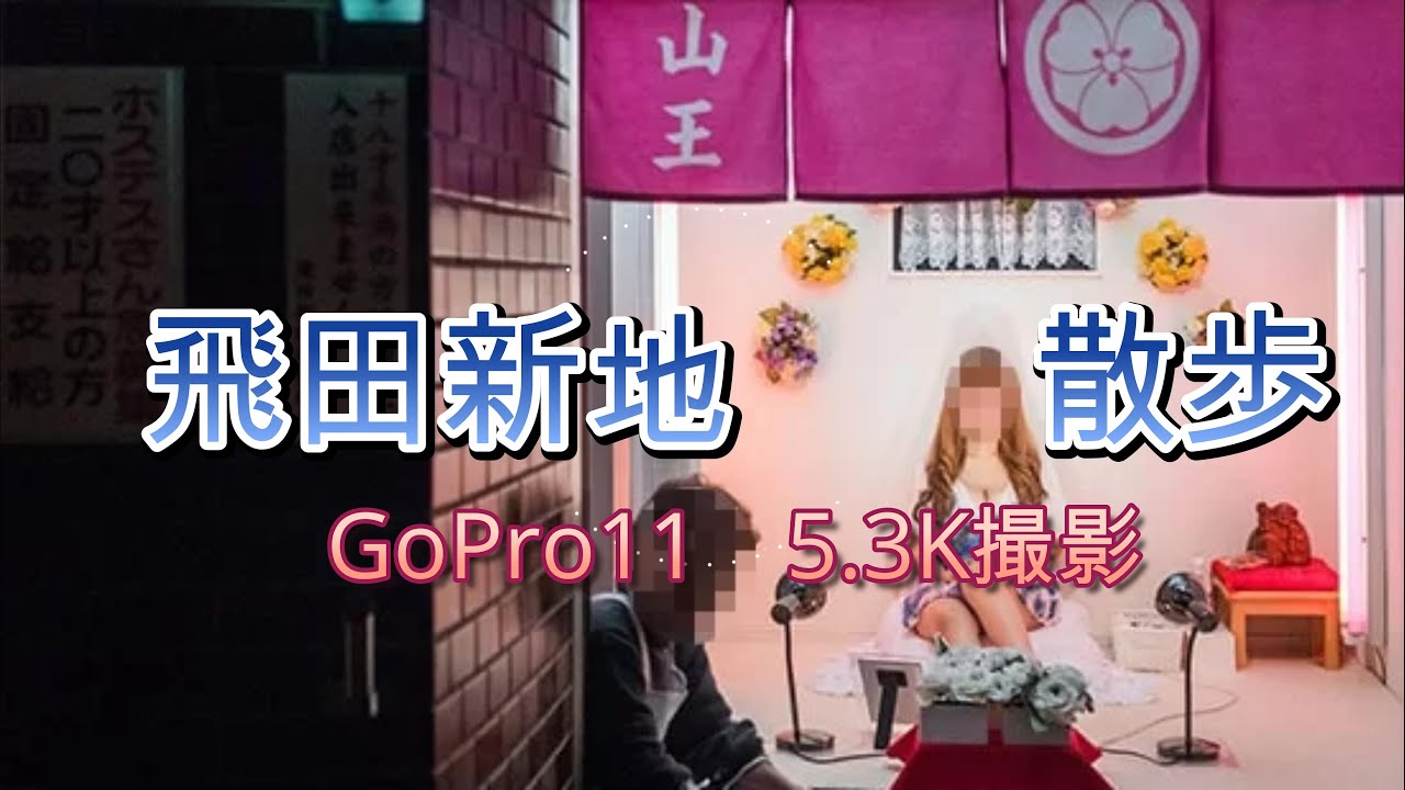 活動歴および当時の関連ビジュアル記録