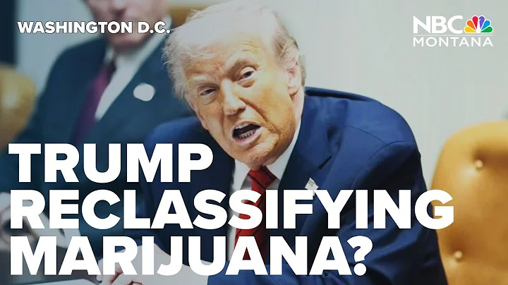 Trump reportedly leaning toward reclassifying marijuana to less restricted status