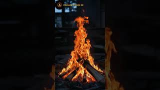 Fireplace Shorts – This Cozy Fire Hits Different 😴🔥#fireplacevibes