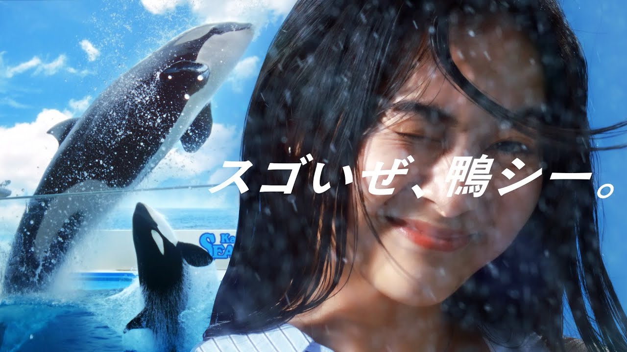 【数日限定販売】鴨川シーワールド 海のなかまたち DVD 限定映像 希少 鴨川シーワールド】新PV 「スゴいぜ、鴨シー。」55周年編 15秒 - YouTube