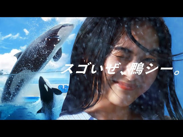 鴨川シーワールド】新PV 「スゴいぜ、鴨シー。」55周年編 15秒 - YouTube