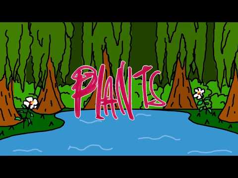 PRIG // 'Plants' (Video)