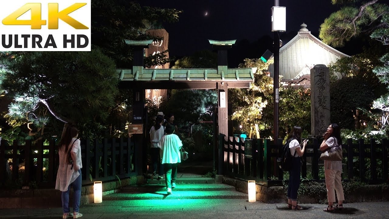 Kamakura Japan 4k Ultra Hd Night Walk Shugenji Temple 鎌倉 収玄寺のライトアップ かまくら長谷の 灯り17 Youtube