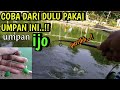 Test sebentar tau begini dari dulu pakai umpan ijo  mancing bawal