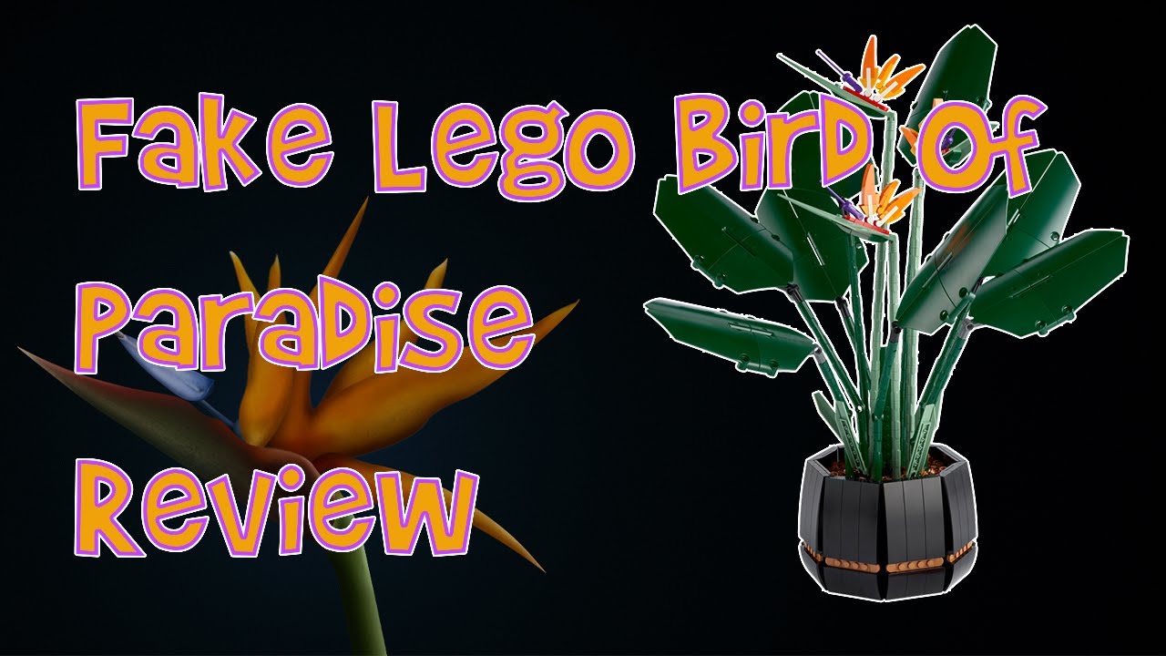 AliExpress - 10289 - Fake Lego Birds of Paradise - FINALLY A