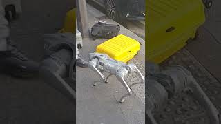idefix !! wala il est robotisé ! 🤩🐕