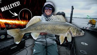 Sharp Shooting Technique Catches TONS of Spring Walleyes!! (Garmin Livescope Tips)