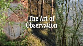 Famous Finding Good Photos Was Hard Until I Did This Wealth