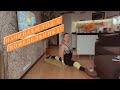 STRETCHING от 11.01.2021 | Продольный шпагат и подводящие упражнения.