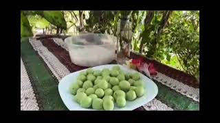 CREATIVE VIDEO CREATOR _FINAL PROJECT _CFT 1073 TEKNIK PERSEMBAHAN VISUAL
