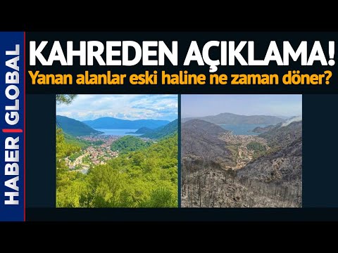 Kahreden Açıklama! Yanan Alanlar Eski Haline Ne Zaman Döner?
