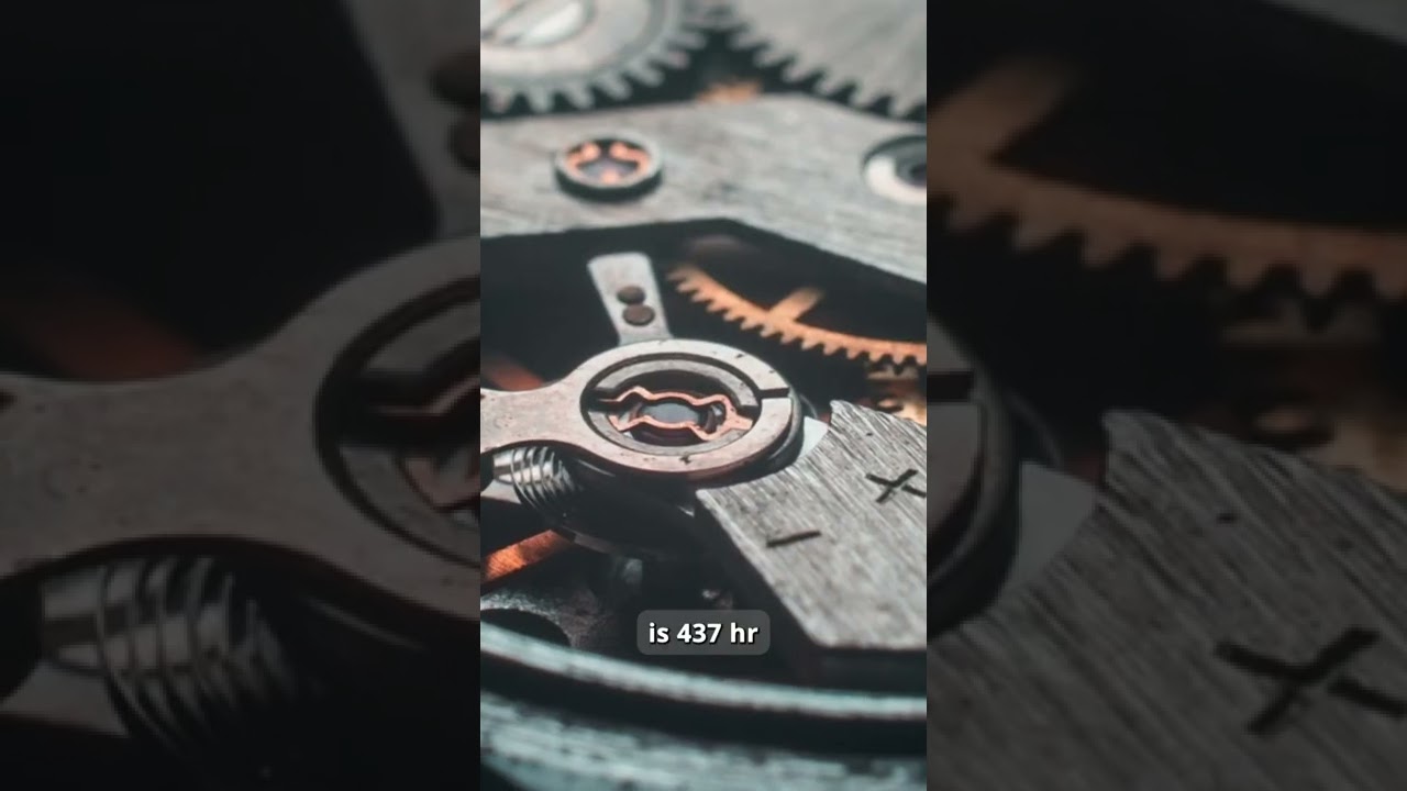 What is the world record for the longest concert?